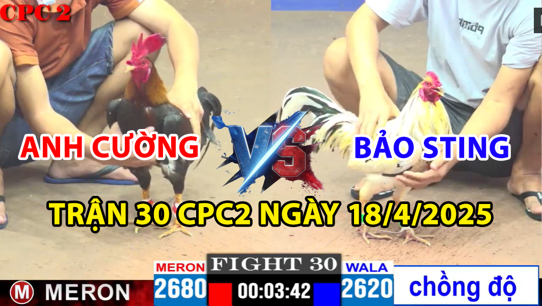 trận 30 cpc2 ngày 18/4/2025 hôm nay giữa bảo sting vs anh cường