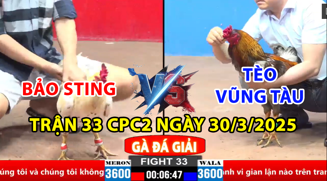 trận 33 cpc2 ngày 30/3/2025 hôm nay giữa bảo sting vs tèo vũng tàu