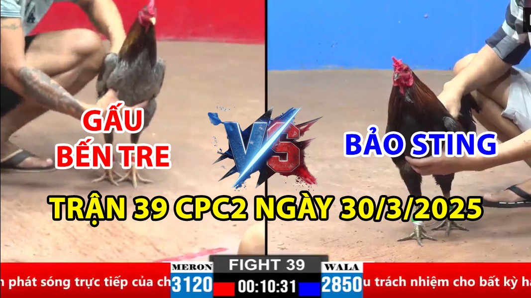 trận 39 cpc2 ngày 30/3/2025 hôm nay giữa bảo sting và gấu bến tre