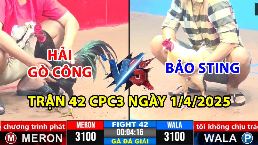 trận 42 cpc3 ngày 1/4/2025 hôm nay giữa bảo sting vs hải gò công