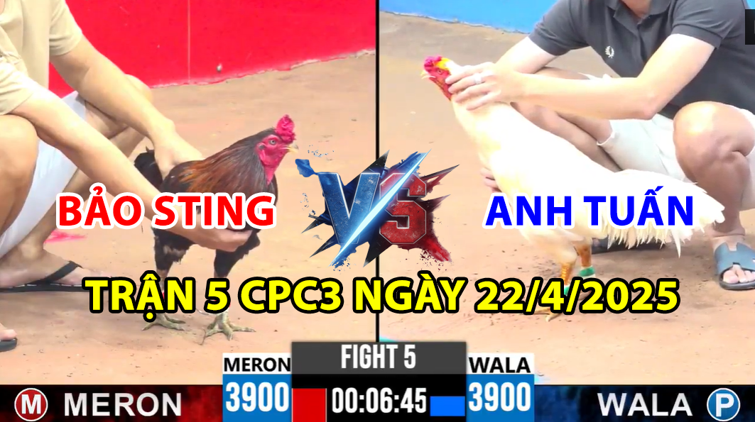 trận 5 cpc3 ngày 22/4/2025 hôm nay giữa bảo sting vs anh tuấn