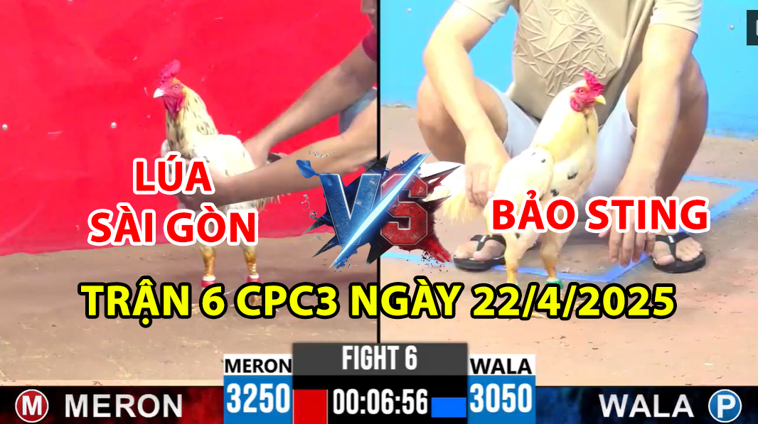 trận 6 cpc3 ngày 22/4/2025 hôm nay giữa bảo sting vs anh lúa sài gòn
