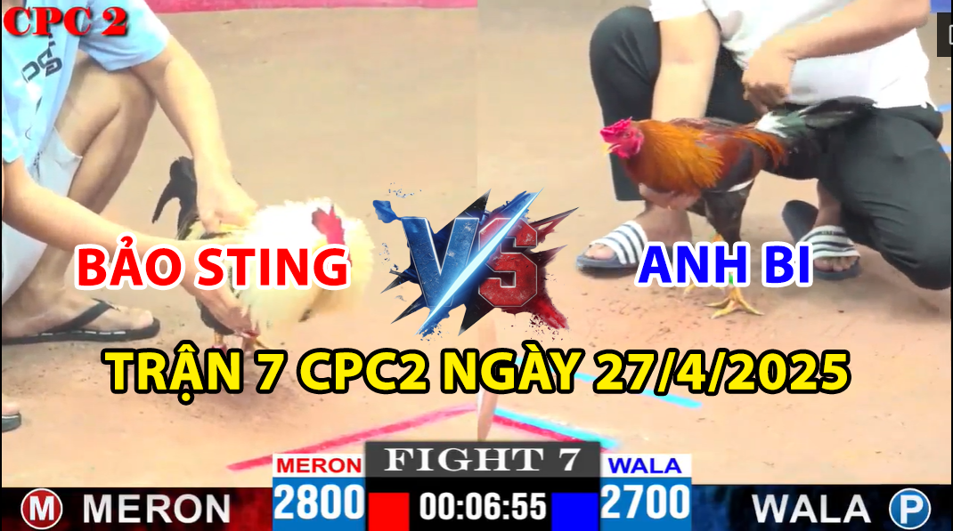 trận 7 cpc2 ngày 27/4/2025 hôm nay giữa bảo sting vs anh bi
