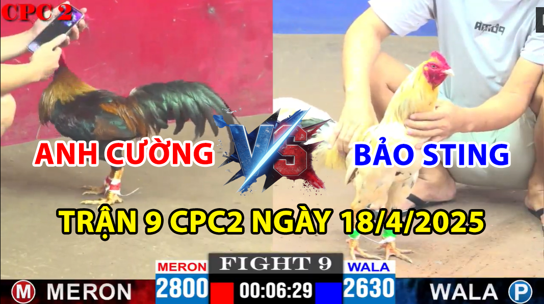 trận 9 cpc2 ngày 18/4/2025 hôm nay giữa anh cường vs bảo sting