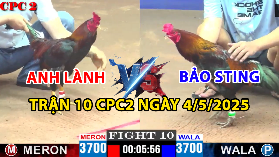trận 10 cpc2 ngày 4/5/2025 hôm nay giữa bảo sting vs anh lành