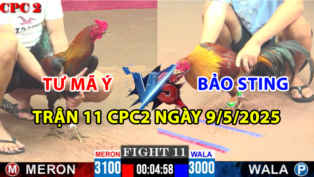 trận 11 cpc2 ngày 9/5/2025 hôm nay giữa bảo sting và tư mã ý