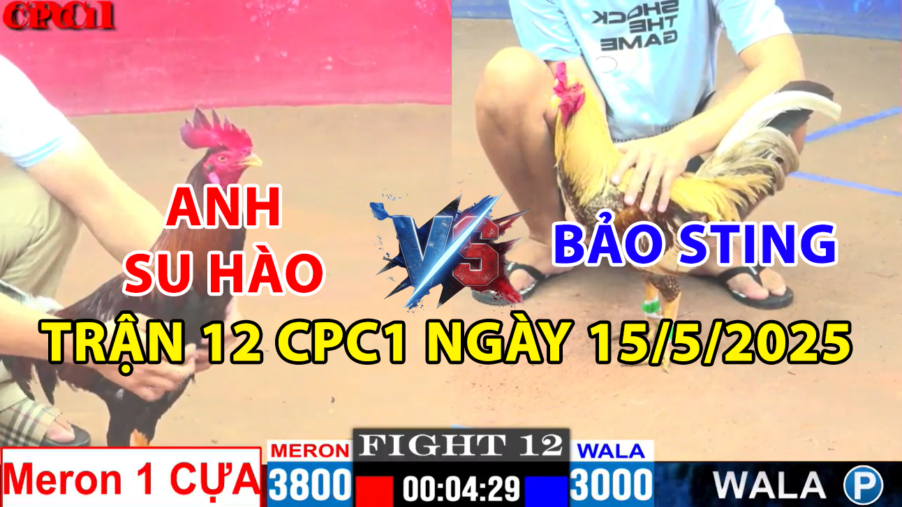 trận 12 cpc1 ngày 15/5/2025 hôm nay giữa bảo sting vs anh su hào
