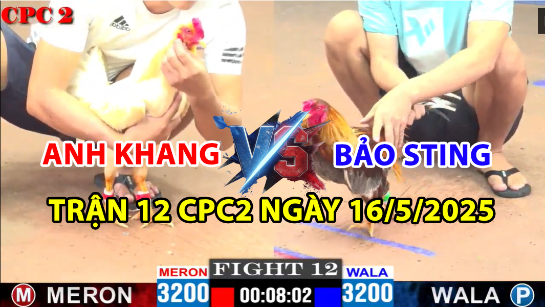 trận 12 cpc2 ngày 16/5/2025 hôm nay giữa bảo sting vs anh khang