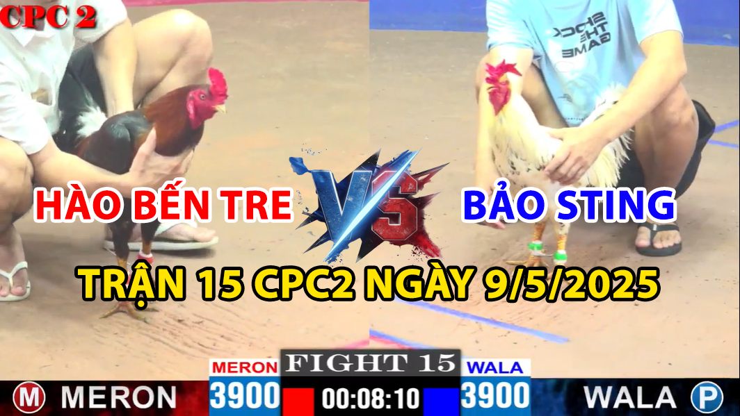trận 15 cpc2 ngày 9/5/2025 hôm nay giữa bảo sting và hào bến tre