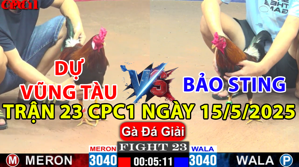 trận 23 cpc1 ngày 15/5/2025 hôm nay giữa bảo sting và dự vũng tàu