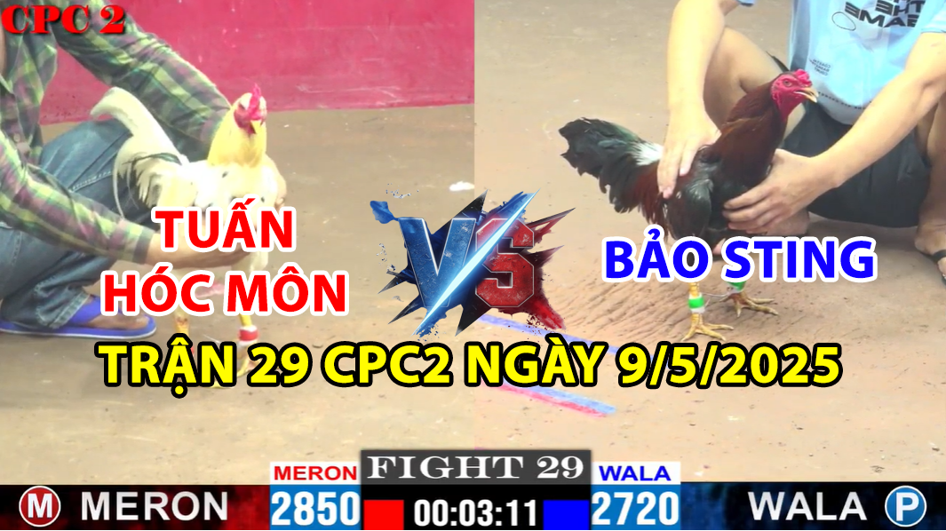 trận 29 cpc2 ngày 9/5/2025 hôm nay giữa tuấn hóc môn và bảo sting