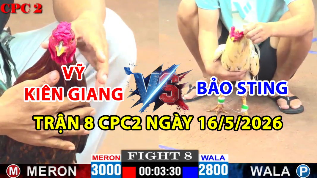 trận 8 ccp2 ngày 16/5/2025 hôm nay giữa bảo sting và vỹ kiên giang