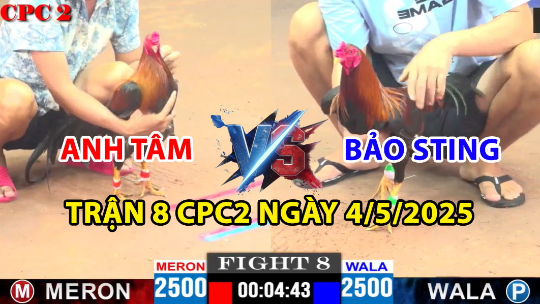 trận 8 cpc2 ngày 4/5/2025 hôm nay giữa bảo sting vs anh tâm