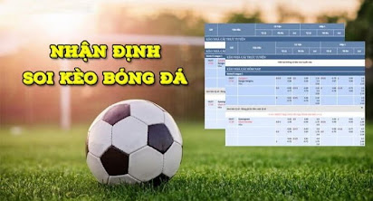 Soi kèo bóng đá – Hướng dẫn toàn tập cho người mới 2 Phân loại các loại kèo bóng đá phổ biến