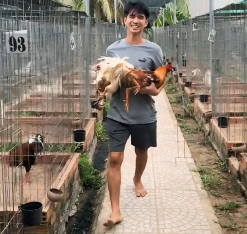 Lý Do Nên Chọn Đối Tác Chính Thức Của Bảo Sting