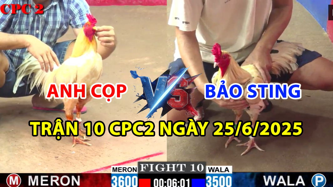 trận 10 cpc2 ngày 25/6/2025 hôm nay giữa anh cọp vs bảo sting