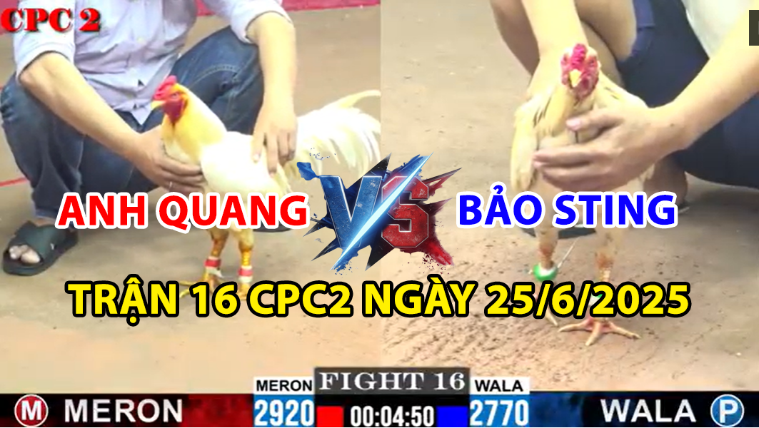 trận 16 cpc2 ngày 25/6/2025 hôm nay giữa bảo sting và anh quang