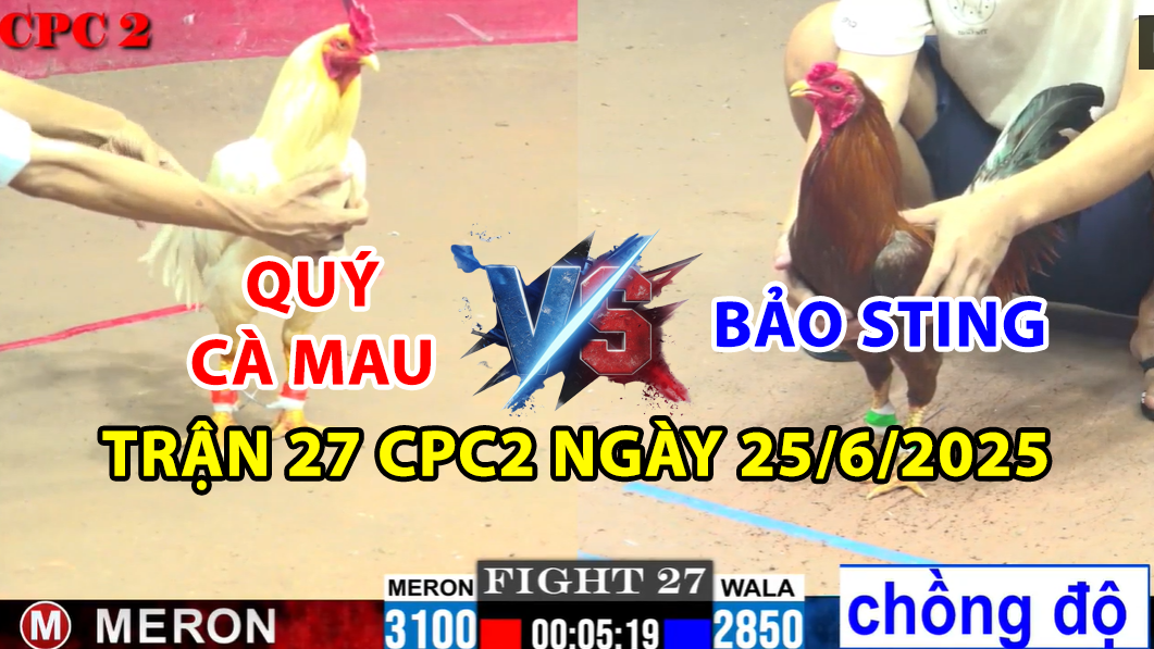 trận 27 cpc2 ngày 25/6/2025 hôm nay giữa bảo sting vs quý cà mau