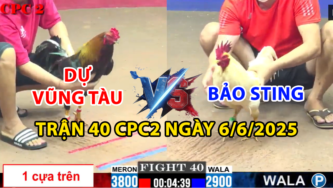 trận 40 cpc2 ngày 6/6/2025 hôm nay giữa bảo sting vs dự vũng tàu