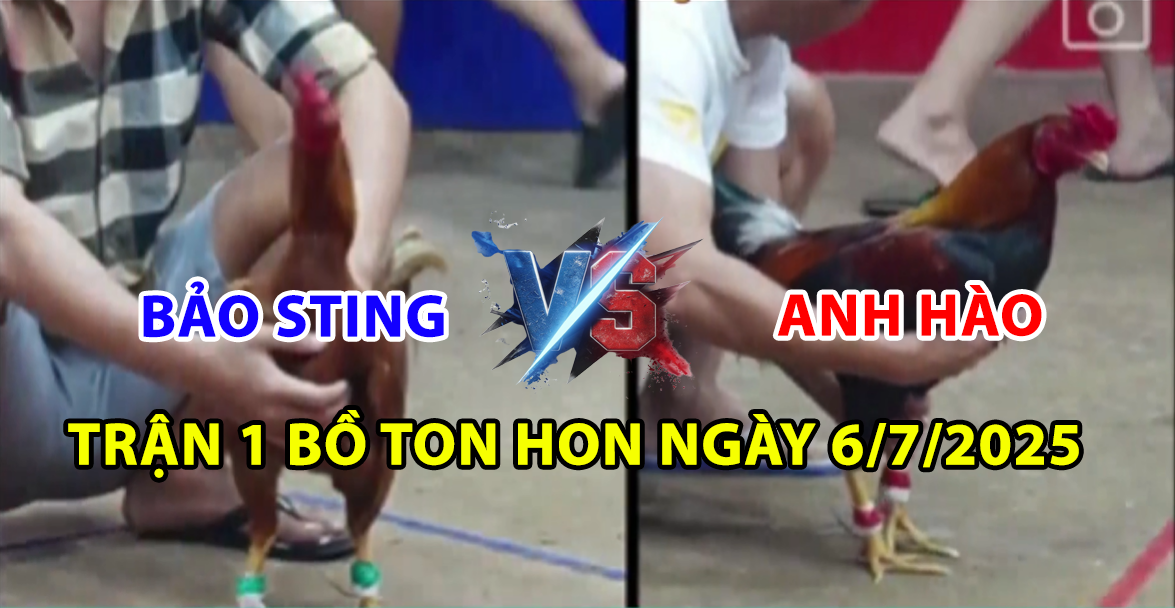 trận 1 bồ ton hon ngày 6/7/2025 hôm nay giữa bảo sting vs anh hào