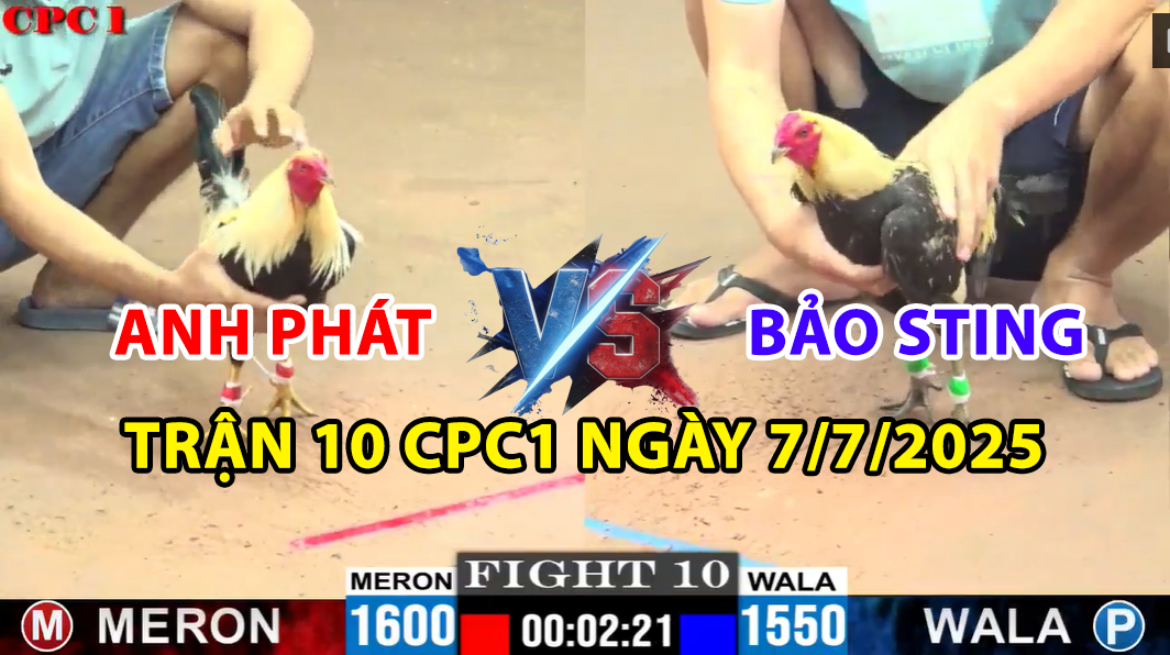 trận 10 cpc1 ngày 7/7/2025 hôm nay giữa bảo sting vs anh phát