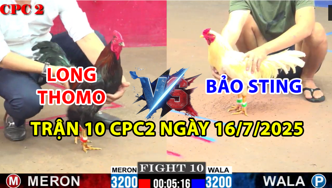 trận 10 cpc2 ngày 16/7/2025 hôm nay giữa bảo sting vs long 4g