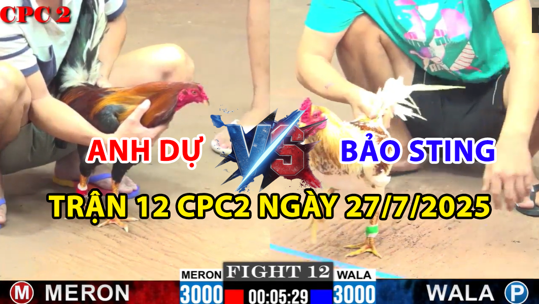 trận 12 cpc2 ngày 27/7/2025 hôm nay giữa bảo sting vs anh dự