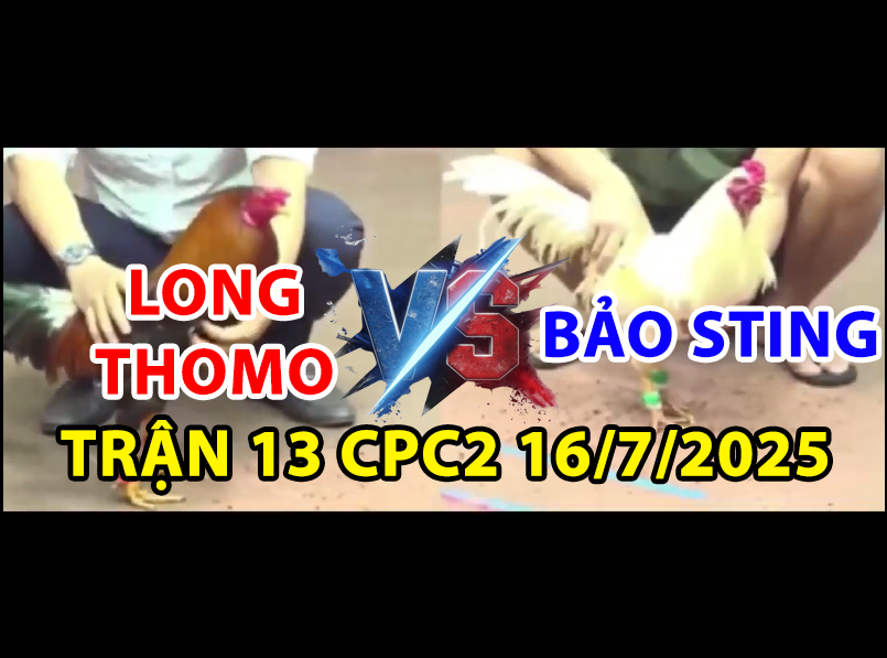 trận 13 cpc2 ngày 16/7/2025 hôm nay giữa bảo sting vs long thomo