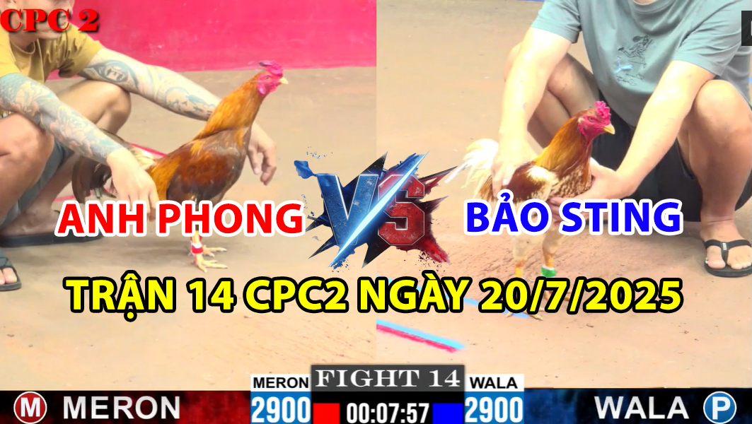 trận 14 cpc2 ngày 20/7/2025 hôm nay giữa bảo sting và anh phong