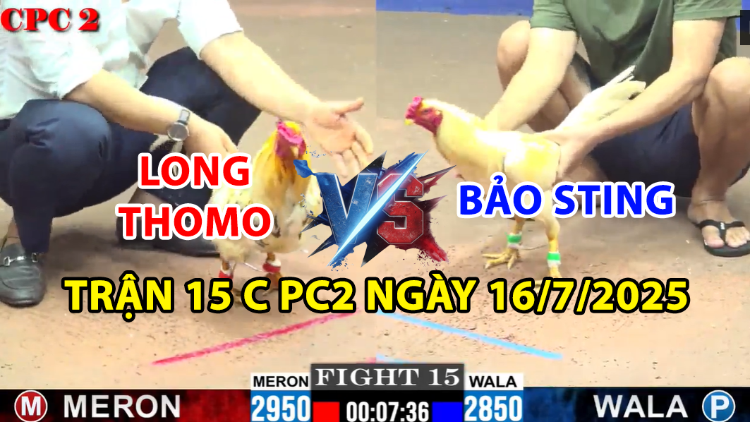 trận 15 cpc2 ngày 16/7/2025 hôm nay giữa bảo sting và long thomo