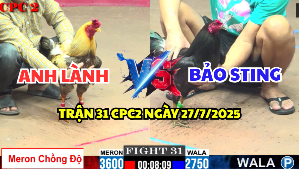 trận 31 cpc2 ngày 27/7/2025 hôm nay giữa bảo sting vs anh lành