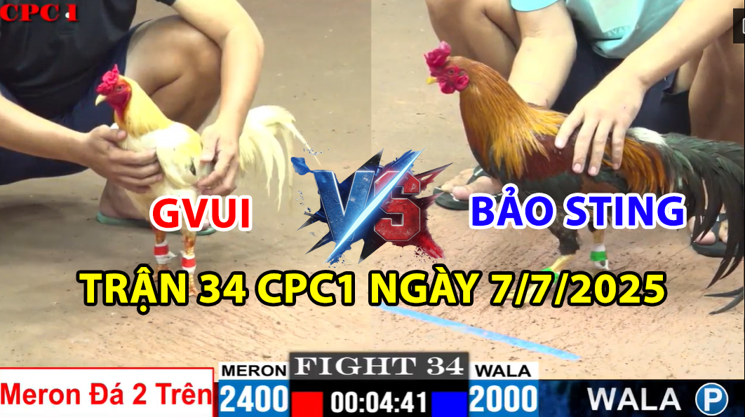 trận 34 cpc1 ngày 7/7/2025 hôm nay giữa bảo sting vs gvui