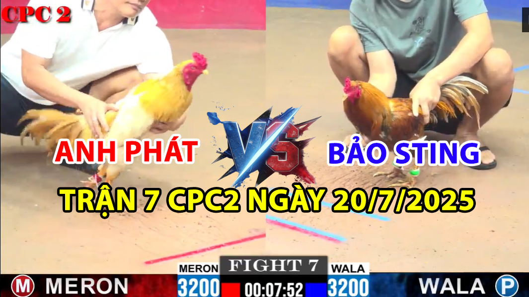 trận 7 cpc2 ngày 20/7/2025 hôm nay giữa anh phát và bảo sting