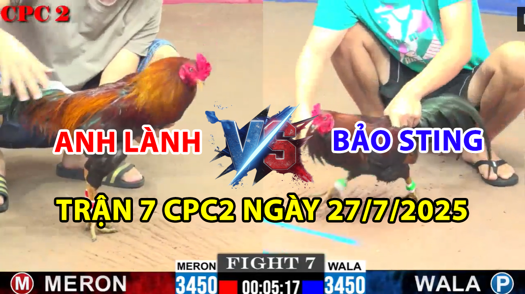trận 7 cpc2 ngày 27/7/2025 hôm nay giữa bảo sting vs anh lành