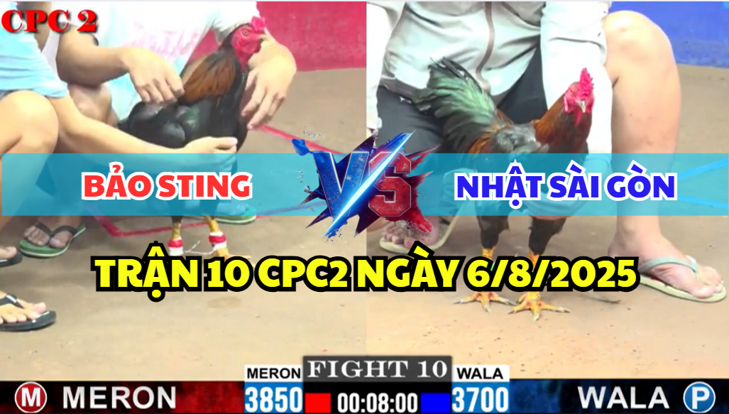 trận 10 cpc2 ngày 6/8/2025 hôm nay giữa bảo sting và nhật sài gòn