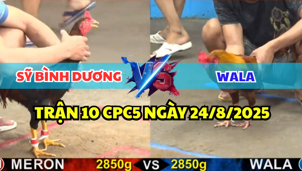 trận 10 cpc5 ngày 24/8/2025 sỹ bình dương hôm nay