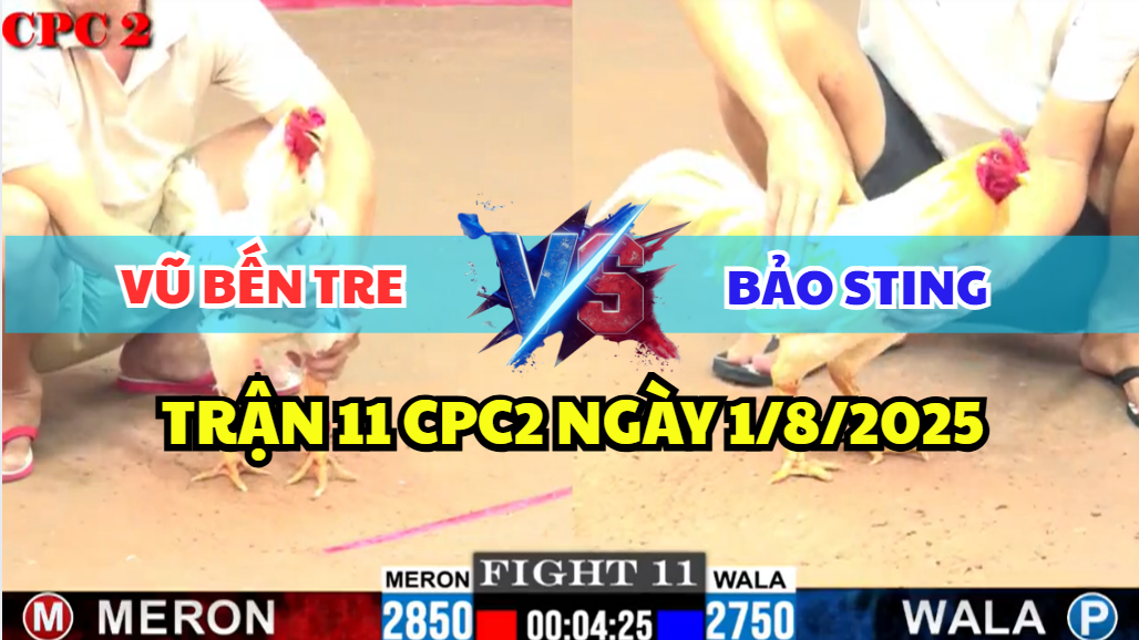 trận 11 cpc2 ngày 1/8/2025 hôm nay giữa bảo sting và vũ bến tre
