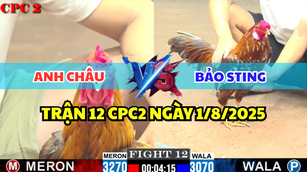 trận 12 cpc2 ngày 1/8/2025 hôm nay giữa bảo sting vs anh châu