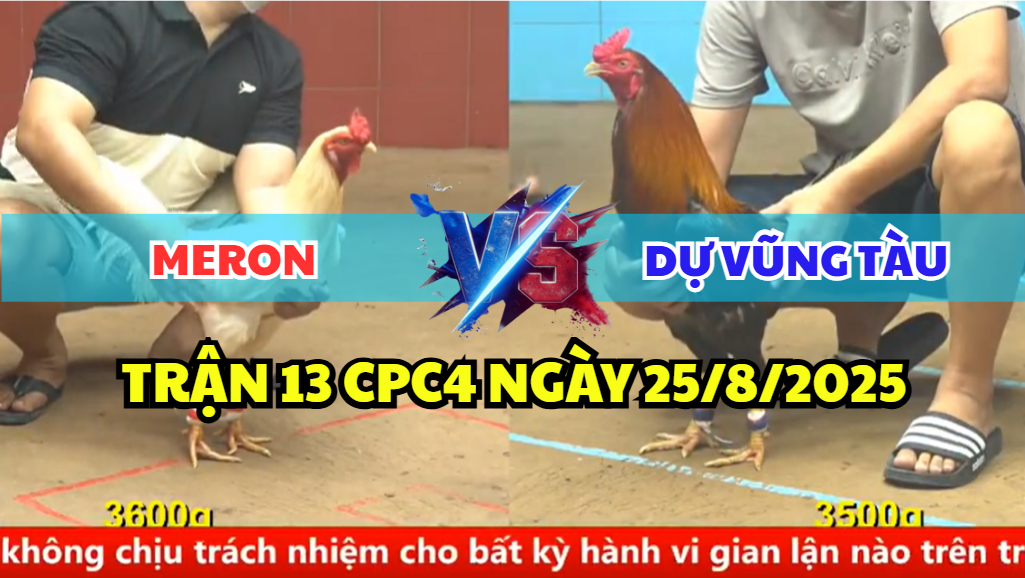 trận 13 cpc4 ngày 25/8/2025 dự vũng tàu hôm nay