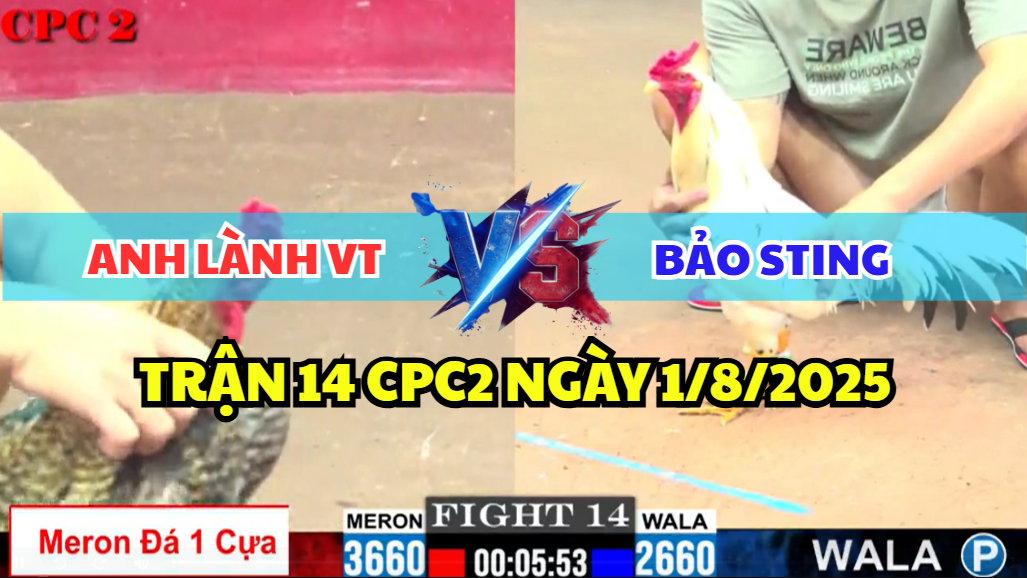 trận 14 cpc2 ngày 1/8/2025 hôm nay giữa bảo sting vs anh lành vũng tàu