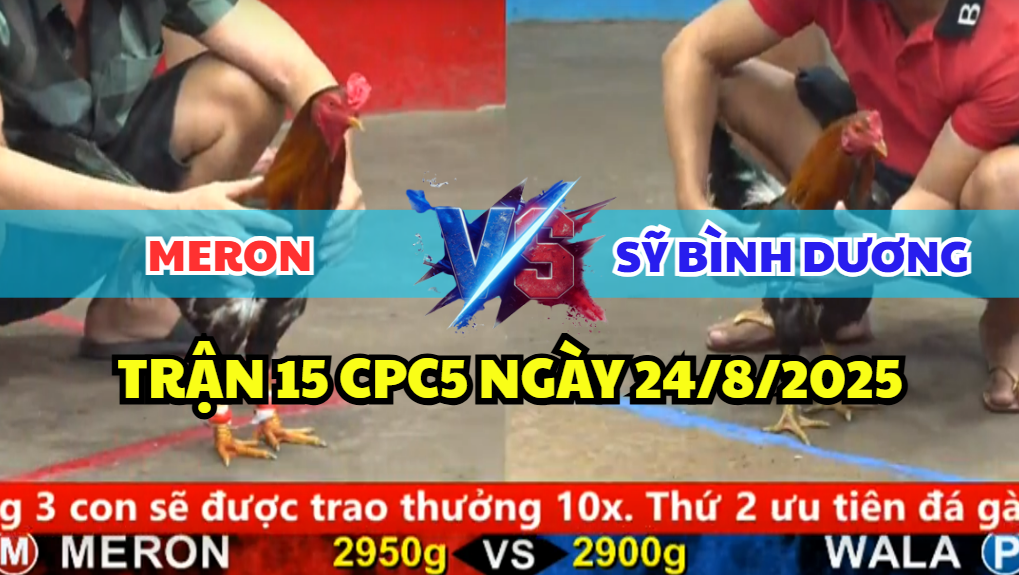 trận 15 cpc5 ngày 24/8/2025 sỹ bình dương hôm nay