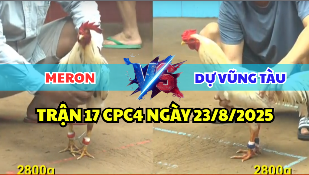 trận 17 cpc4 ngày 23/8/2025 dự vũng tàu hôm nay