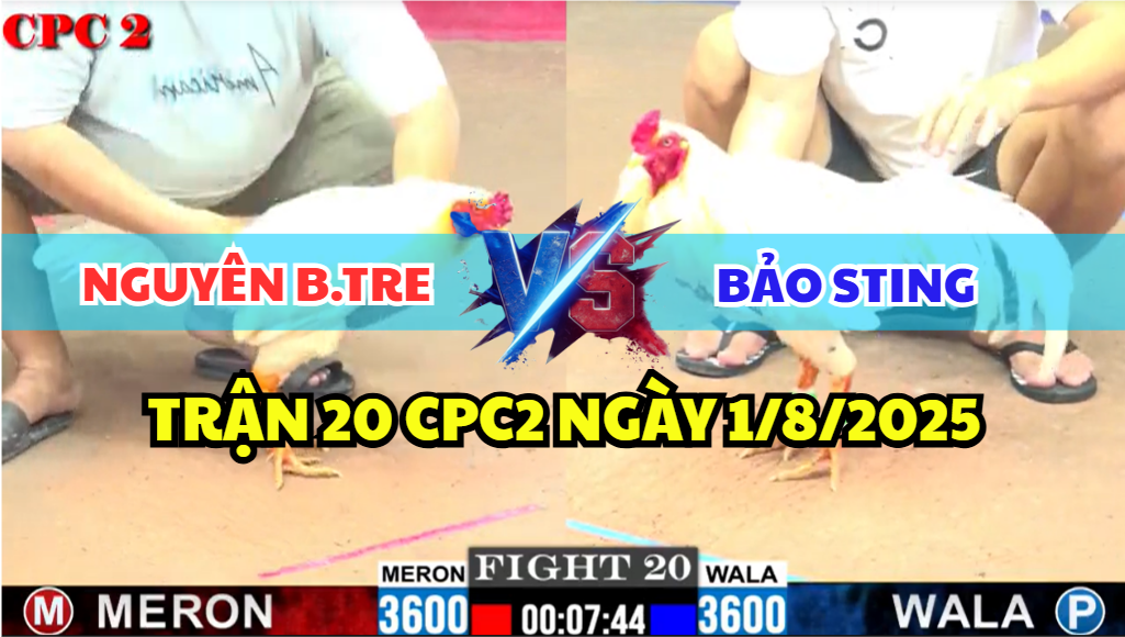 trận 20 cpc2 ngày 1/8/2025 hôm nay giữa bảo sting vs nguyên bến tre