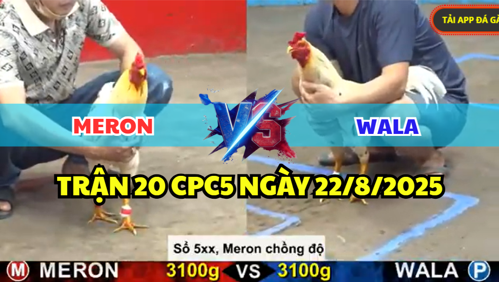 trận 20 cpc5 ngày 22/8/2025 hôm nay xổ lớn 500tr