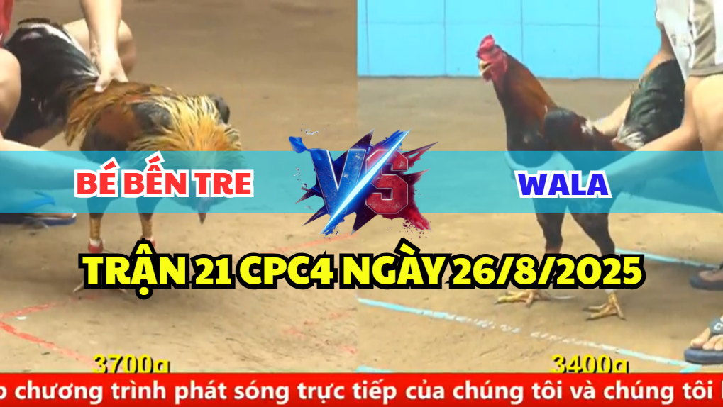 trận 21 cpc4 ngày 26/8/2025 bé bến tre hôm nay