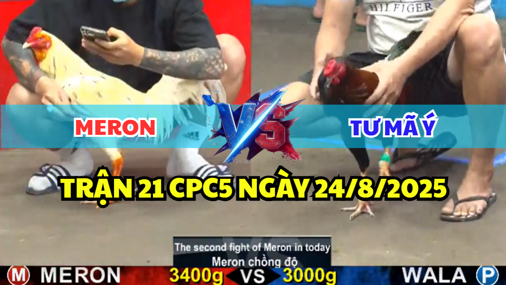 trận 21 cpc5 ngày 24/8/2025 tư mã ý hôm nay