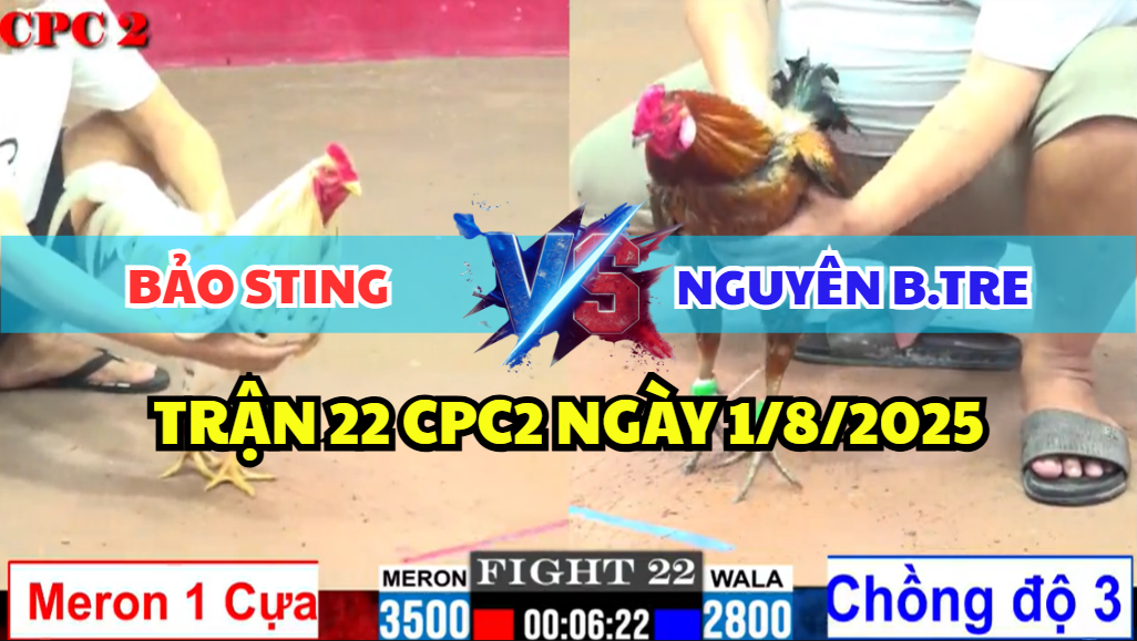 trận 22 cpc2 ngày 1/8/2025 hôm nay giữa bảo sting vs nguyên bến tre
