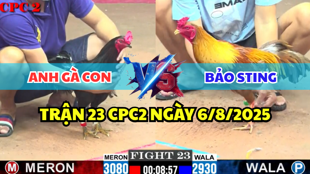 trận 23 cpc2 ngày 6/8/2025 hôm nay giữa bảo sting và anh gà con