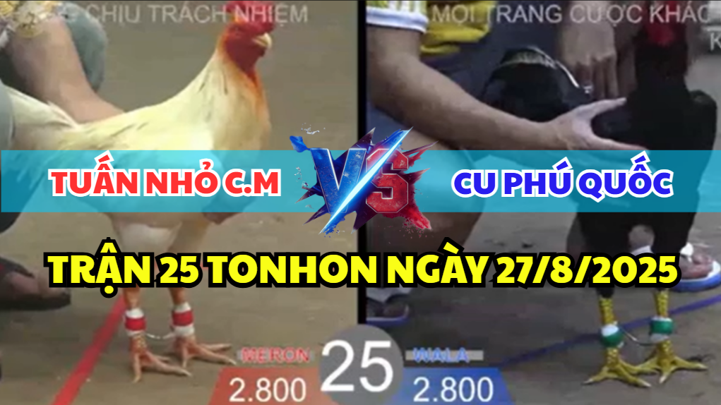 trận 25 bồ tonhon ngày 27/8/2025 giữa tuấn nhỏ cà mau vs anh cu phú quốc hôm nay