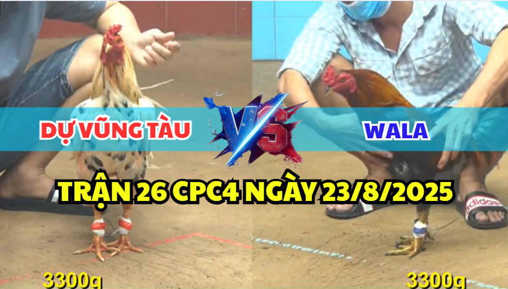 trận 26 cpc4 ngày 23/8/2025 dự vũng tàu hôm nay